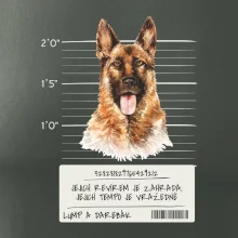 Lump a darebák - Německý ovčák