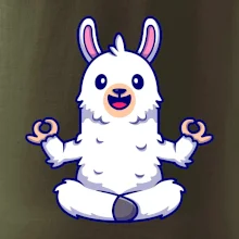 Yoga meditace - lama