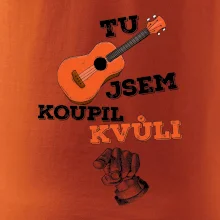 Tu kytaru jsem koupil kvůli tobě