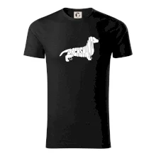 Jezevčík - Dachshund