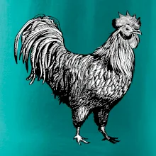 Kohout kreslený černobílý