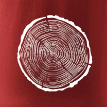 Letokruhy 40 bez věku