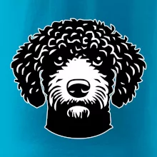 Lagotto romagnolo hlava na prsu