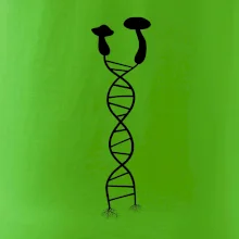 DNA houby