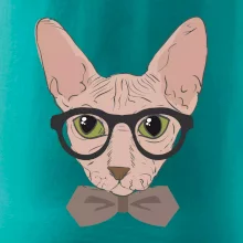 Hipster sphynx