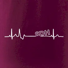 SDH EKG
