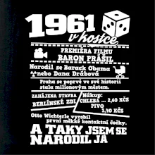 1961 v kostce