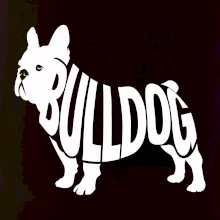 Bulldog  nápis v těle