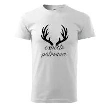 Harry - Expecto patronum Harry - Expecto patronum