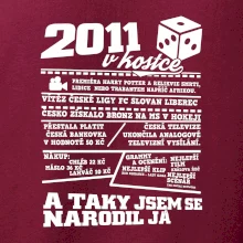 2011 v kostce