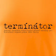 Čeština 2.0 - termínátor
