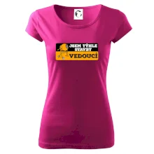 Jsem týhle stavby vedoucí