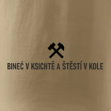 BINEĆ V KSICHTĚ A ŠTĚSTÍ V KOLE﻿