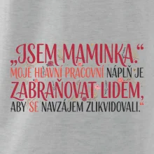 Moje hlavní pracovní náplň je zabraňovat lidem