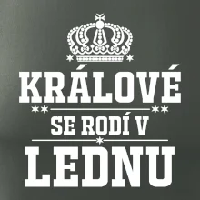Králové se rodí v lednu
