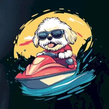 Lhasa Apso na vodním skútru