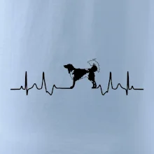 Český strakatý pes EKG