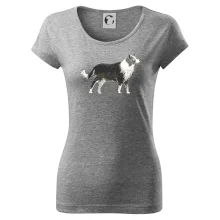 Border kolie kreslená