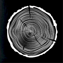 Letokruhy 50 bez věku