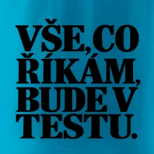 Vše co říkám bude v testu