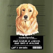 Lump a darebák zlatý retrívr