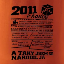 2011 v kostce