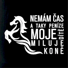 Nemám čas a taky peníze - Kůň