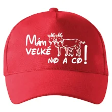 Mám velké kozy! No a co!