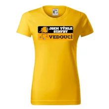 Jsem týhle stavby vedoucí