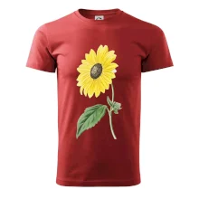 Slunečnice otočená