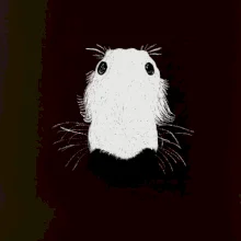 Barzoj čumák (Moňas)