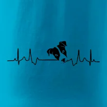 Jack Russell Terriér  - hlava