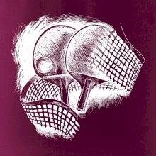 Ping pong pálky a síť