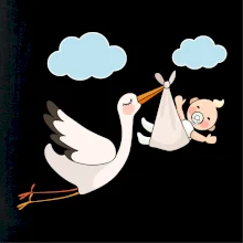 Čáp čekáme miminko - neutrální