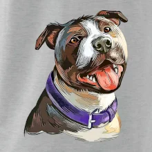 Americký stafordširský teriér  kreslený