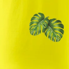 Monstera listy na prsu