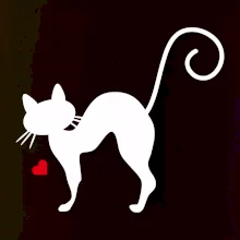 Zamilovaná kočka prohnutá