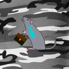 Krysa kancelářská barevná (Moňas)