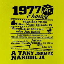 1977 v kostce