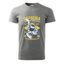 Capoeira  Afro-brazil art