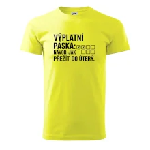 VÝPLATNÍ PÁSKA: Návod, jak přežít do úterý
