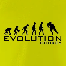 Evoluce Hockey - hráč