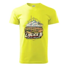 Liblice B vysílače v české krajině