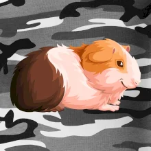 Morče - kreslené z boku