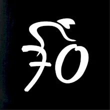 Cyklista slaví sedmdesátku (70)