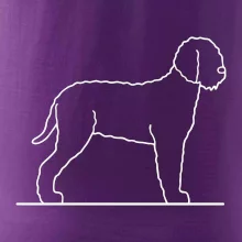 Lagotto romagnolo stojící