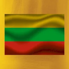 Litva vlajka obdélník