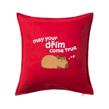 May your dřím come true