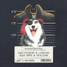 Lump a darebák husky