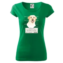 Lump a darebák labrador